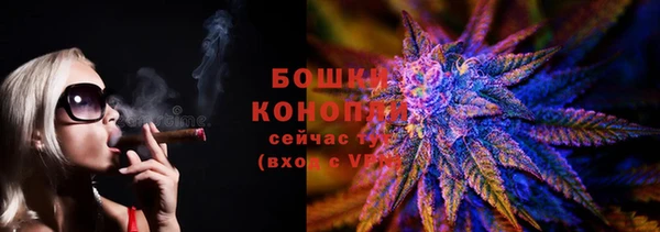 PSILOCYBIN Алзамай