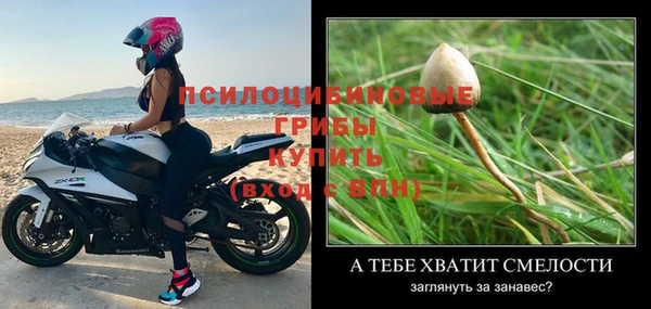 твердый Алексин