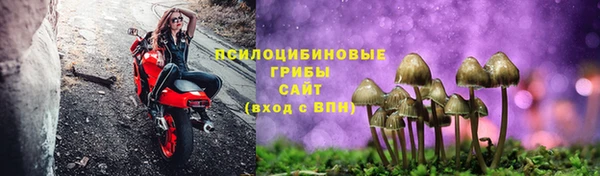 PSILOCYBIN Алзамай