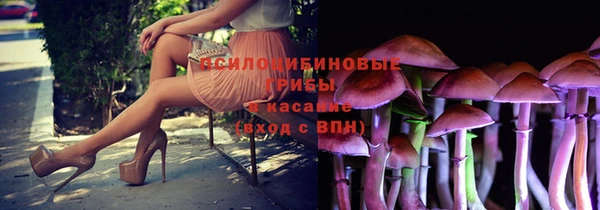 PSILOCYBIN Алзамай