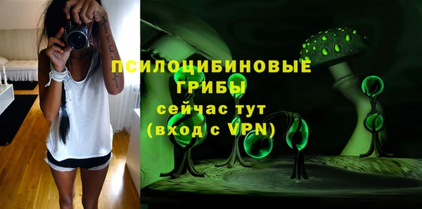 твердый Алексин